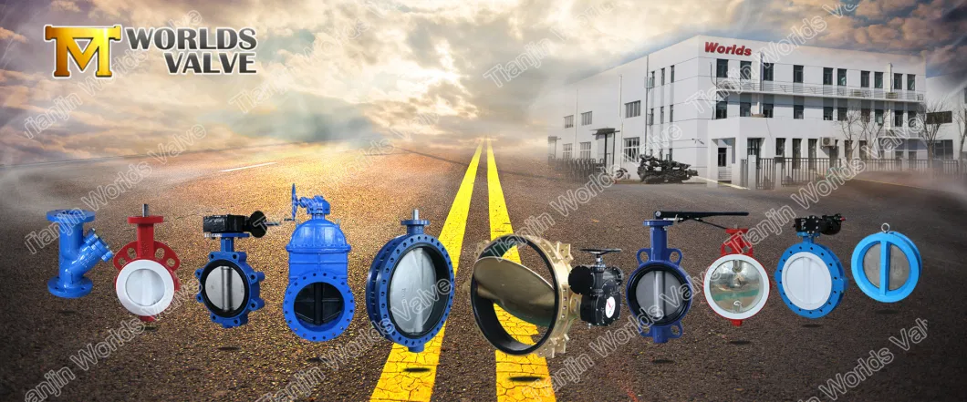 API/DIN Standard Double Flange Butterfly Valve Vulcanized Bonded Wras Rubber Liner Seat