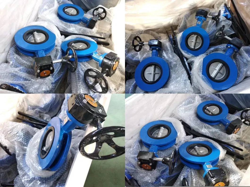 API U Type Flanged Butterfly Valve Wth Loose Liner Rubber Seat for Marine and Industry